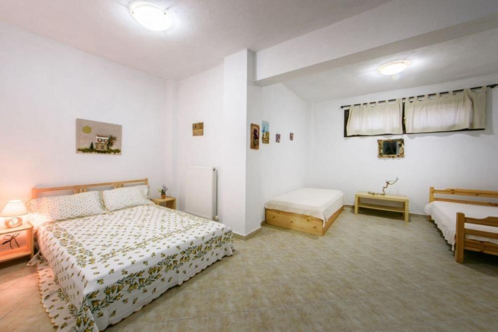 Katevi Luxury Seafront Villa Ierissós Esterno foto